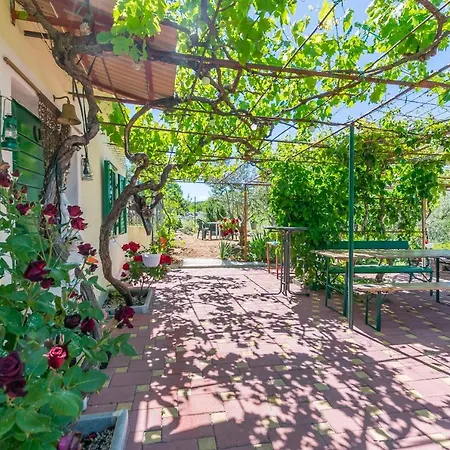 Tatil Evi House Paradise Vrpolje