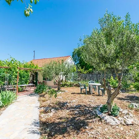 House Paradise Tatil Evi *