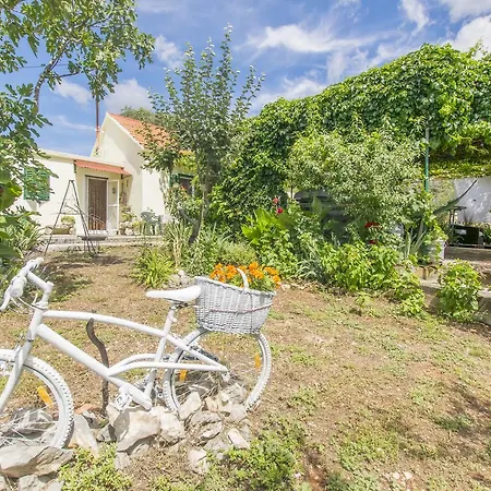 House Paradise Vrpolje