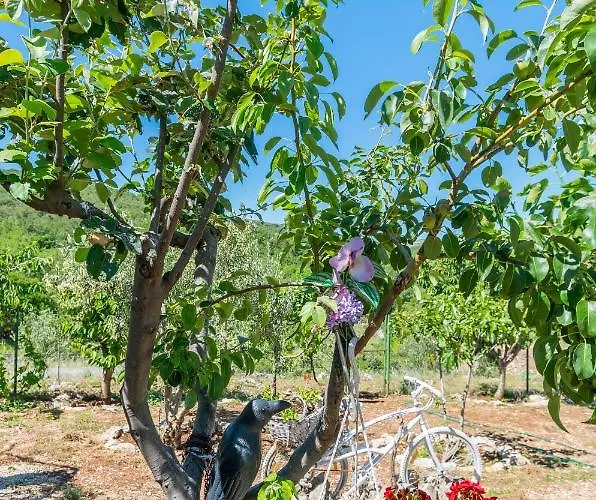 Tatil Evi House Paradise