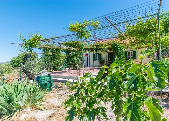 House Paradise Tatil Evi *