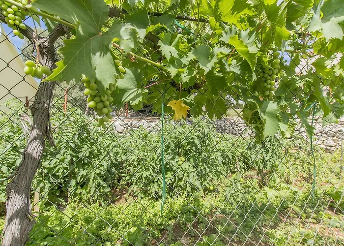 Dom wakacyjny House Paradise